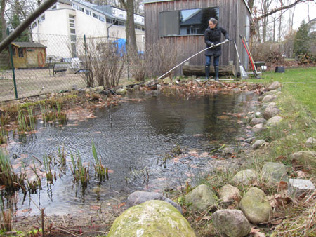 Teich