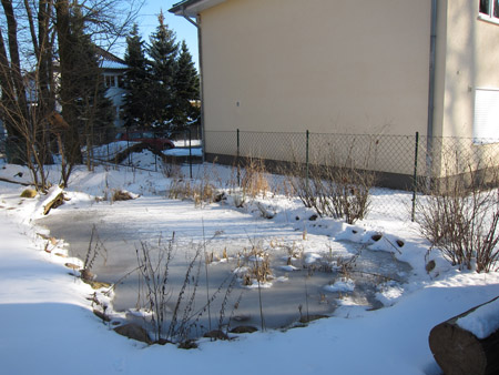 Teich